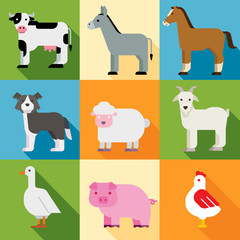 Animals farm