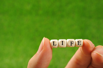 木製のブロックで組み合わせたアルファベットのlifeという文字