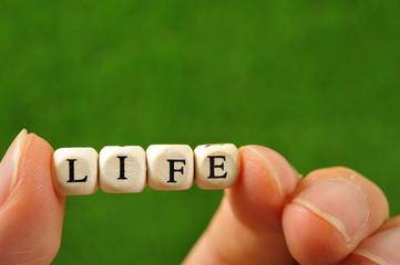 木製のブロックで組み合わせたアルファベットのlifeという文字