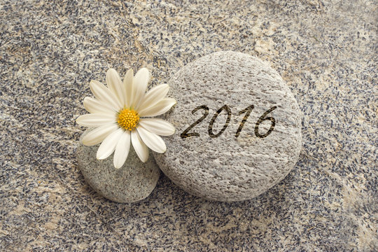 2016 written on a stone backgroound with a daisy