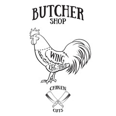 Fototapeta na wymiar Butcher cuts scheme of chicken