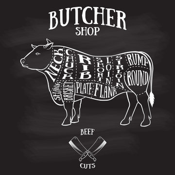 Butcher cuts scheme of beef