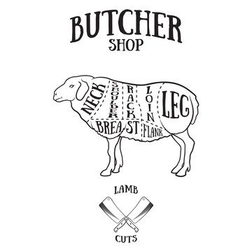 Butcher cuts scheme of lamb or mutton