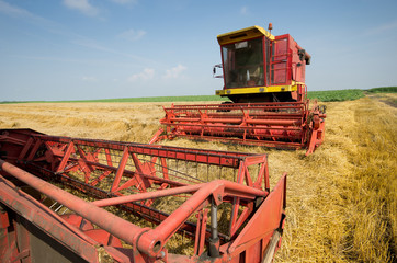 Combine harvester in barley field