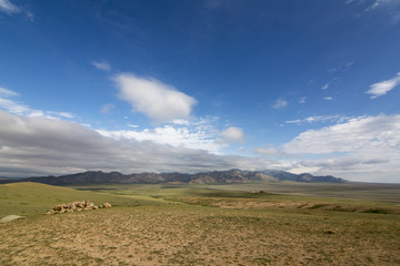 Mongolei