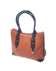bag. brown colour fashion woman bag on a background.
