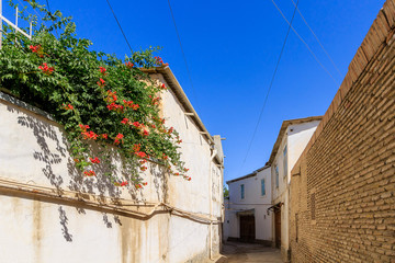 Ancient street of Bukhara, Uzbekistan