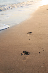 Footprints on the beach