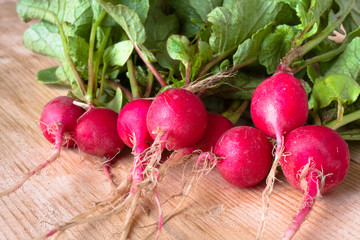 bunch of fresh radishes on the wooden table