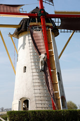 miller is working on a corn mill to catch more wind © breedfoto