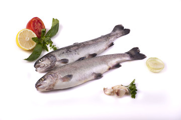 Fresh trout © blistwan