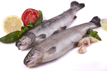 Fresh trout © blistwan