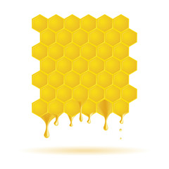 Dripping  honey with  Honeycombs on white isolated background. Vector illustration