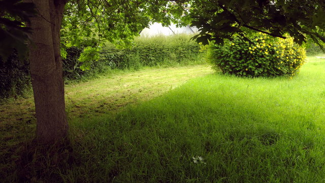 Lawn Mowing In Timelapse - 4k - Nice Garden, Yard Being Cleaned Up, With A Oak And A St John‘s Wort