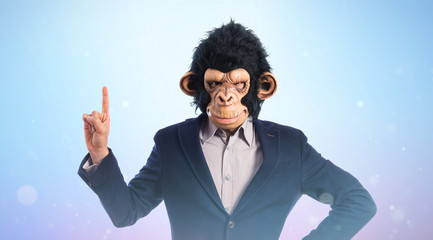 Monkey man pointing up