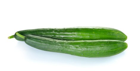 Fresh cucumber on white background