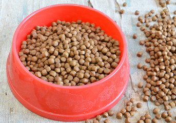 pet food in red bowl