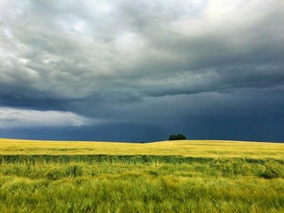 Summer landscape before heavy storm