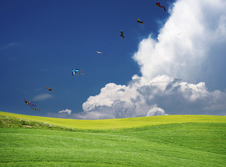 Nel cielo