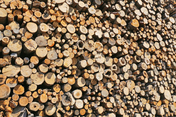 felled logs lying on top of each other