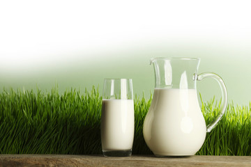 Glass of milk and jar on meadow