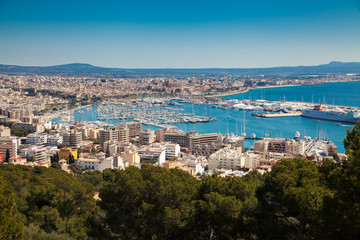 Fototapeta na wymiar the port of Palma de Mallorca