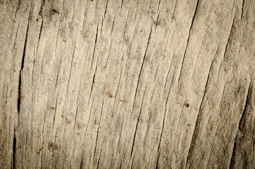 Fototapeta premium Grunge wood