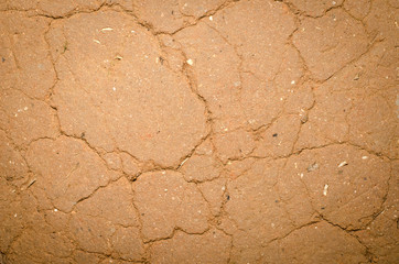 Cracked ground