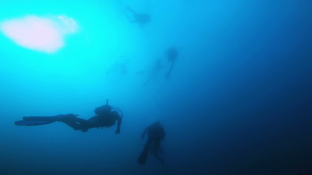 Group of Scuba Divers Ascending