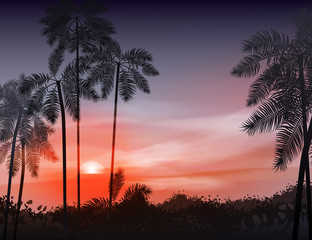 Summer night. Palm trees on the background of sunset. Vector