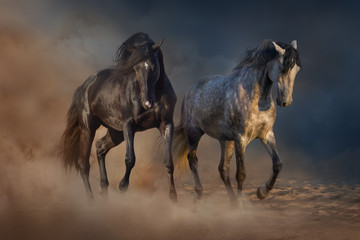Obraz na płótnie Canvas Two beautiful horse run in desert dust