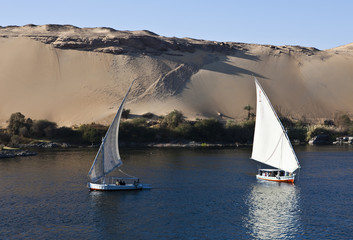 Egypt, Aswan, felucas on the Nile river