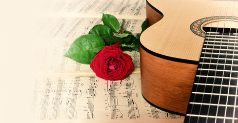 Guitar and rose