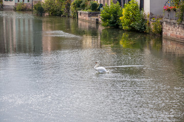 Strasbourg, water canal in Petite France area