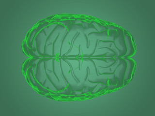 Fototapeta premium X-ray brain anatomy