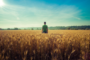 Man from behind in a wheat field in a summer day