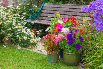 Cottage garden with bench and containers full of flowers