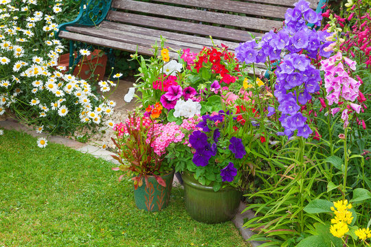 Cottage garden with bench and containers full of flowers