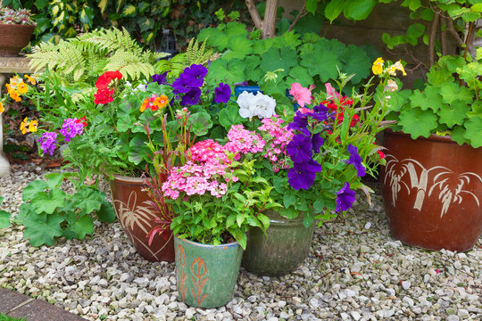 Garden with containers full of colorful flowers