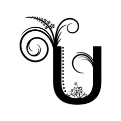 Fototapeta premium Black alphabet letter U with creeping plant
