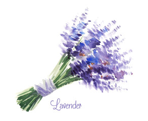 Vector watercolor bouquet of lavender. 
