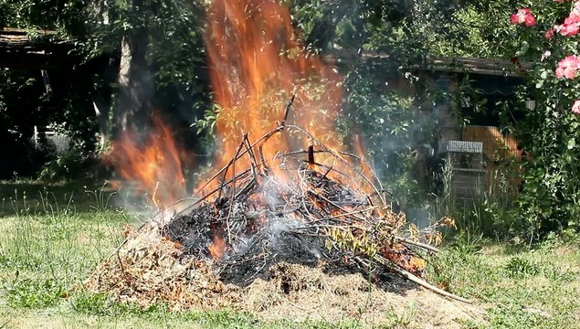 Feu , Broussailles et jardinage