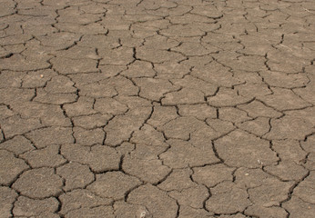 Land with dry and cracked ground