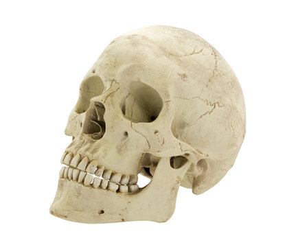 alter totenkopf, sch&auml;del, totensch&auml;del