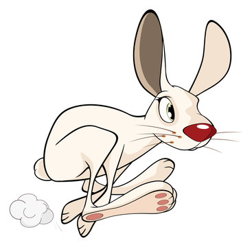 Illustration of cartoon white rabbit