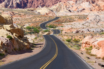 Desert Winding Road