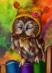 Сова кокетка в шапке. Персонаж