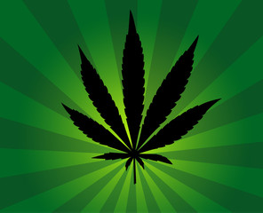 Cannabis leaf background vector