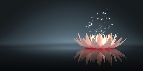 Fototapeta na wymiar Fleur de Lotus
