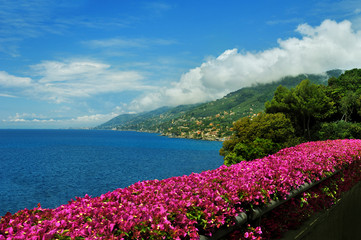 view on Recco with Bougainville